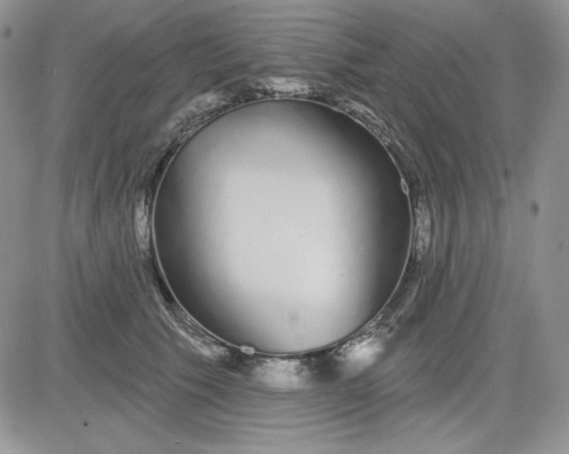 X0000081420609200701261555