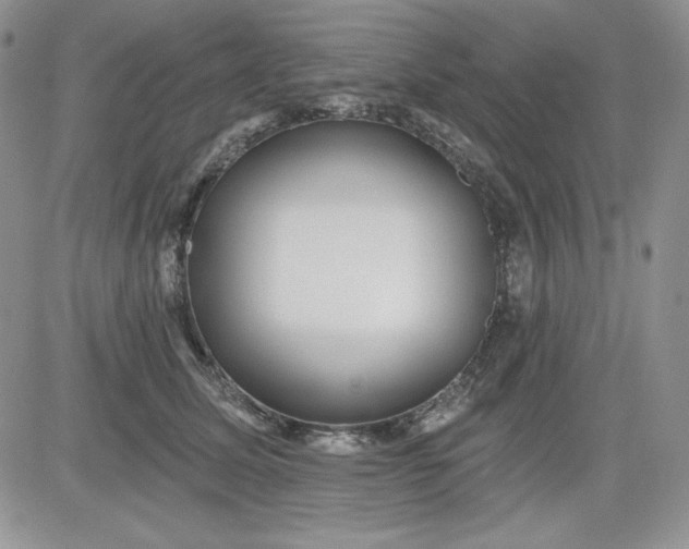 X0000081420611200701261555