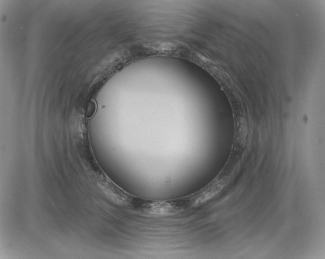 X0000081420612200701261555