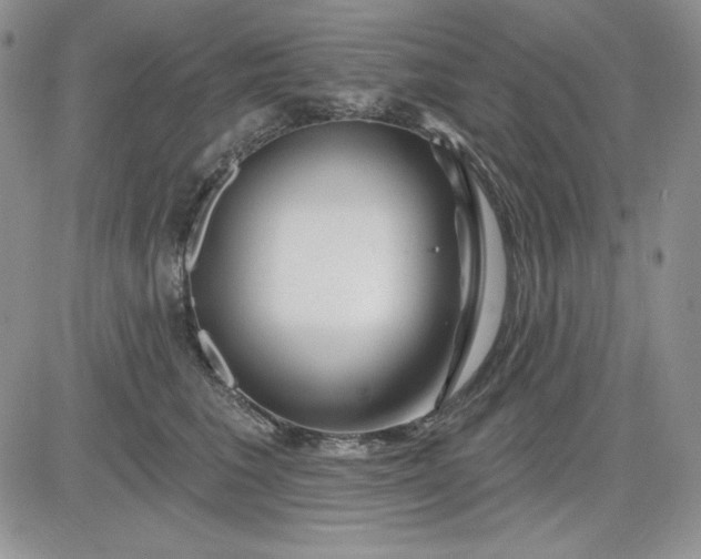 X0000081420613200701261555