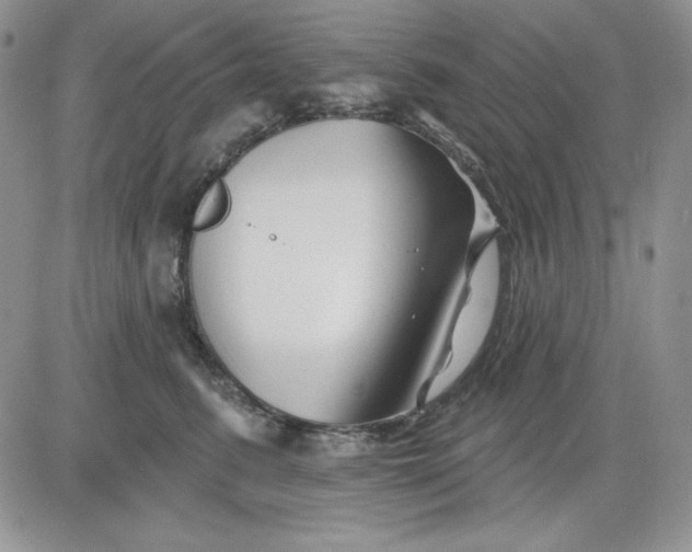 X0000081420615200701261555