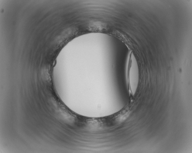 X0000081420616200701261555