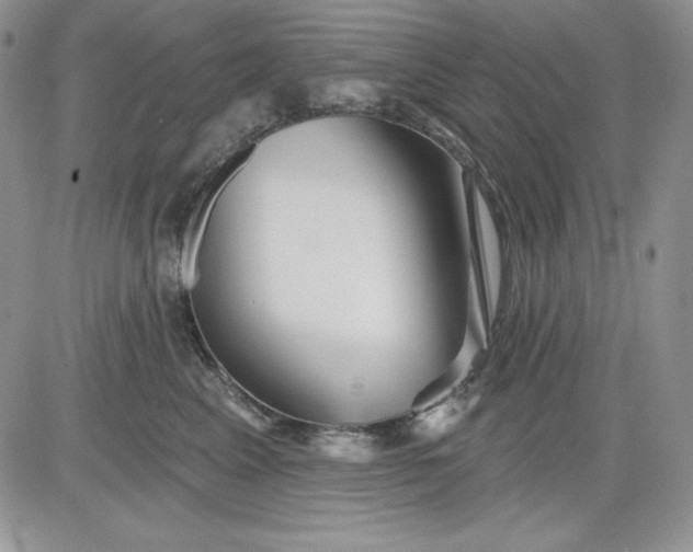 X0000081420617200701261555