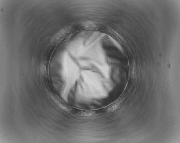 X0000081420618200701261555