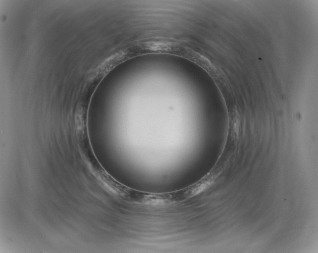 X0000081420620200701261555