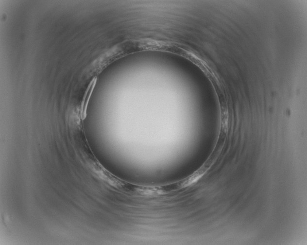 X0000081420621200701261555