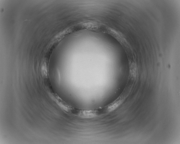 X0000081420622200701261555