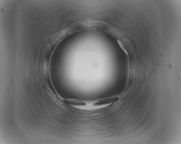 X0000081420623200701261555