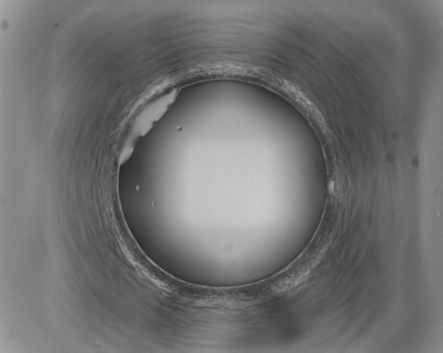 X0000081420625200701261554