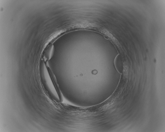 X0000081420626200701261554