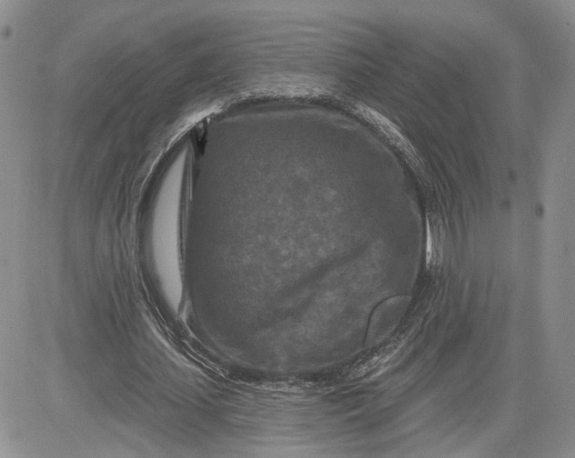 X0000081420627200701261554