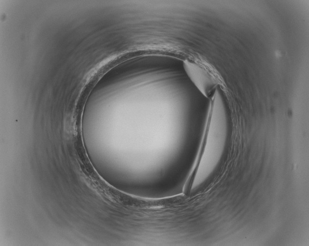 X0000081420628200701261554