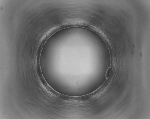 X0000081420629200701261554