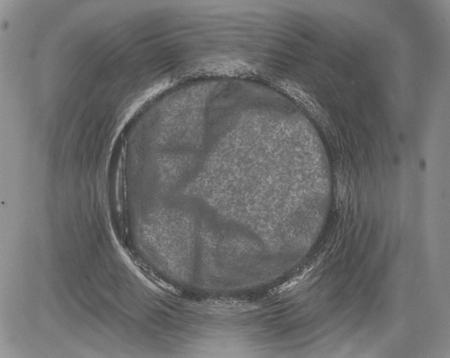 X0000081420630200701261554