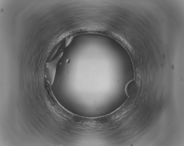 X0000081420631200701261554