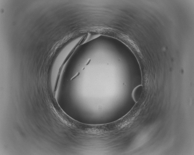 X0000081420633200701261554