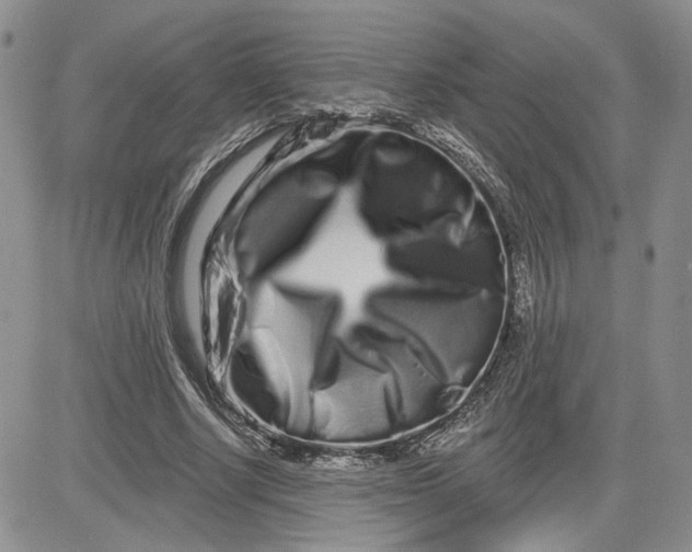 X0000081420634200701261555