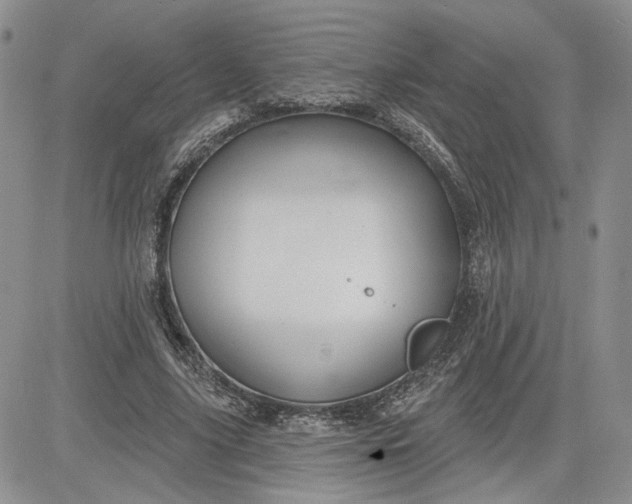 X0000081420635200701261555