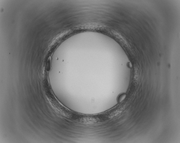 X0000081420636200701261555