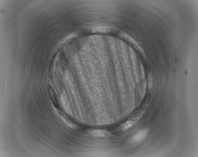 X0000081420637200701261555