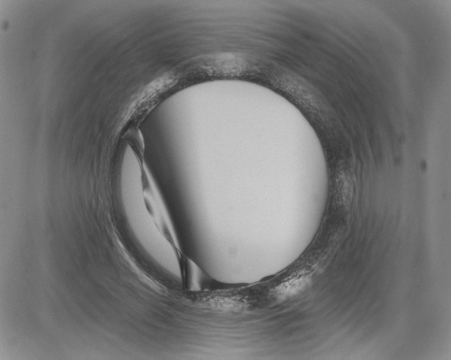 X0000081420638200701261555