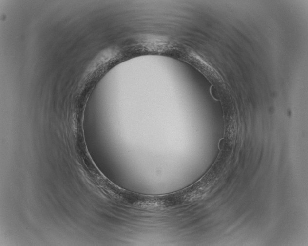 X0000081420639200701261555