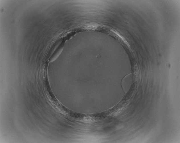 X0000081420641200701261555