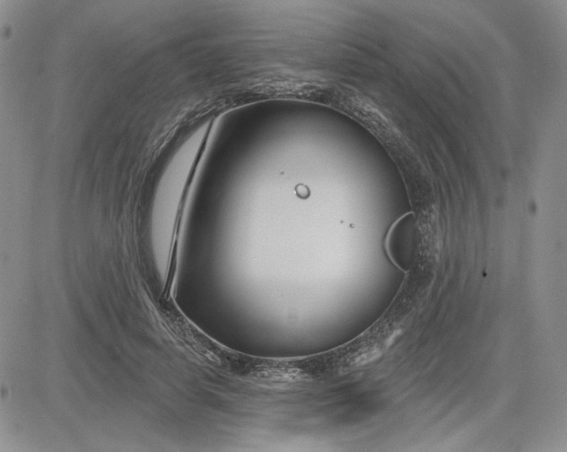 X0000081420642200701261555