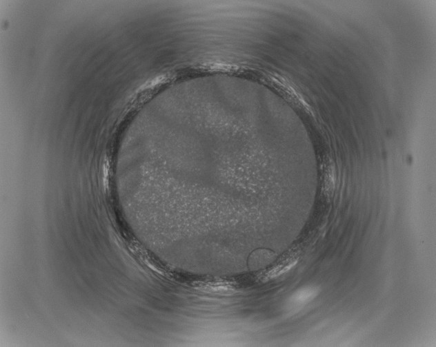 X0000081420643200701261555