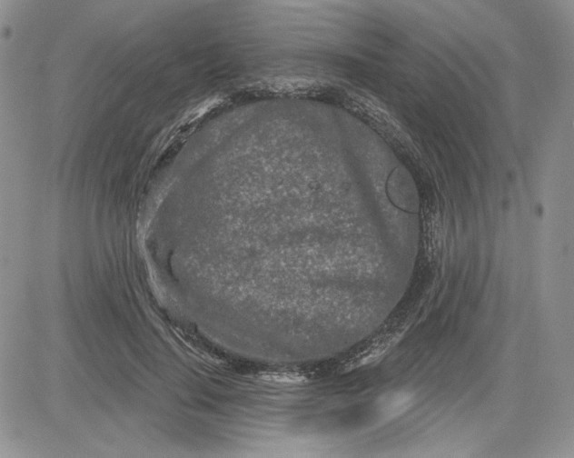 X0000081420644200701261555