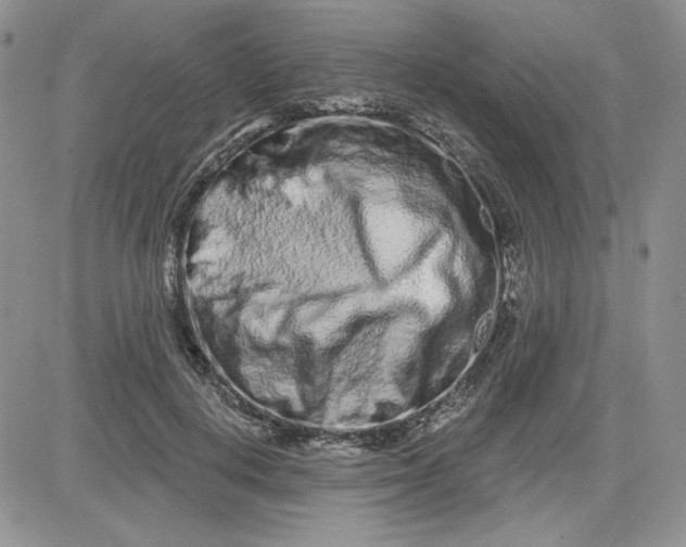 X0000081420648200701261555