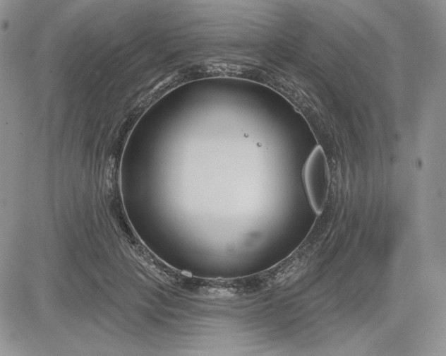 X0000081420649200701261555