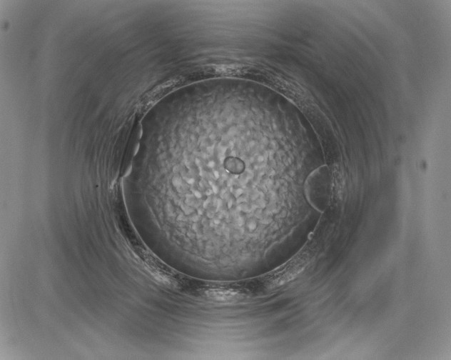 X0000081420650200701261555