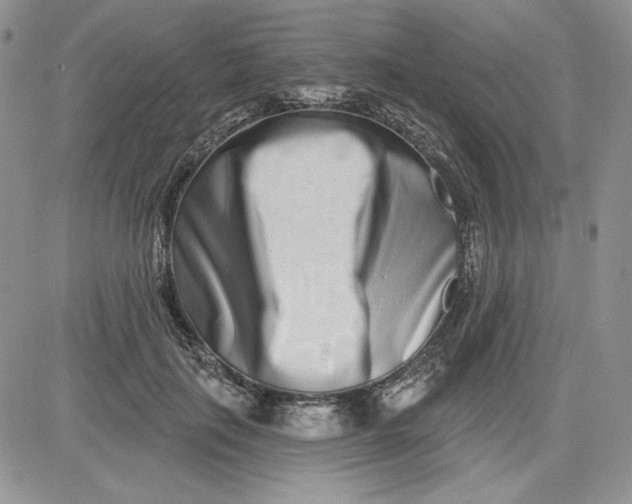 X0000081420651200701261555