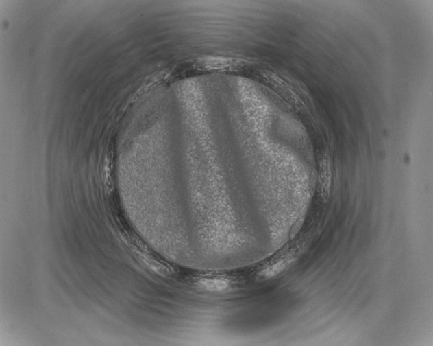 X0000081420653200701261555