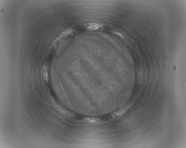 X0000081420654200701261555