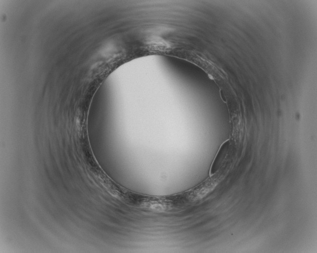 X0000081420655200701261555