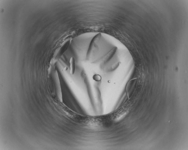 X0000081420656200701261555