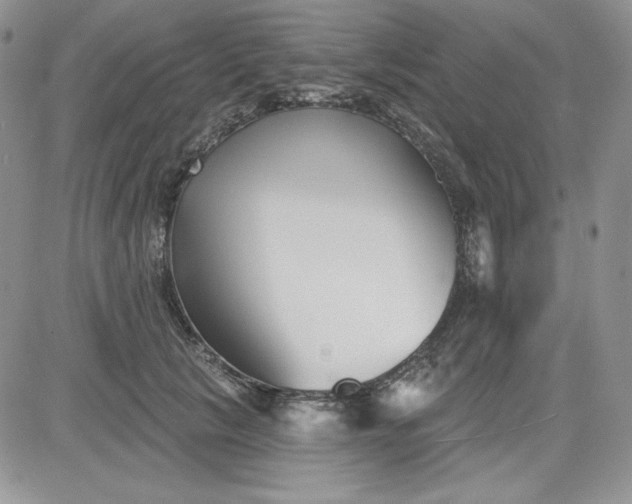 X0000081420657200701261555