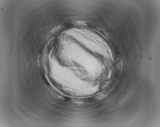 X0000081420658200701261555