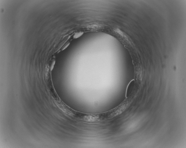 X0000081420660200701261555