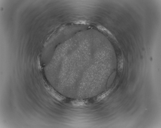 X0000081420661200701261555