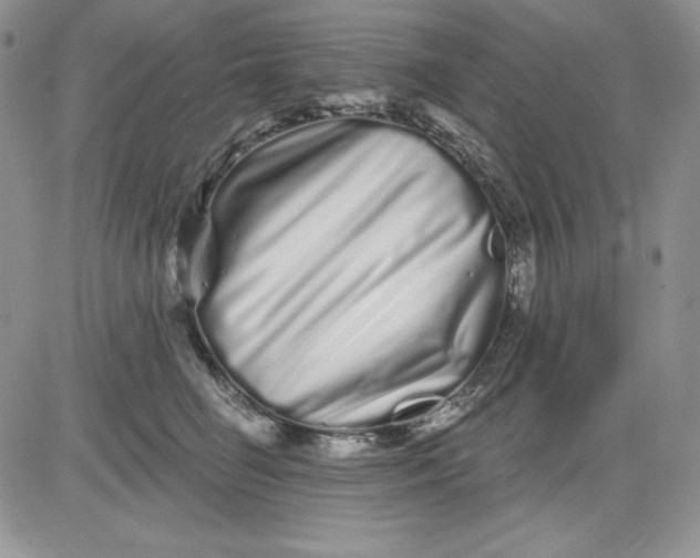 X0000081420662200701261555