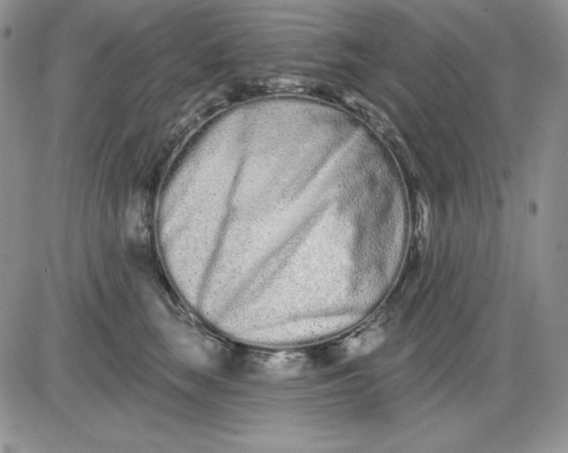 X0000081420663200701261555