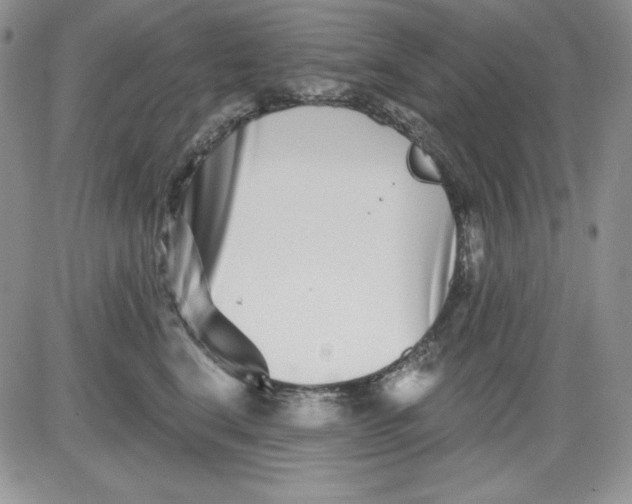 X0000081420664200701261555