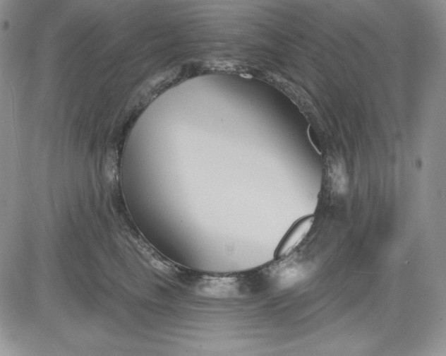 X0000081420665200701261555