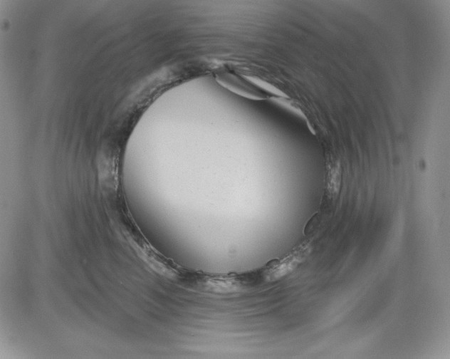 X0000081420666200701261555