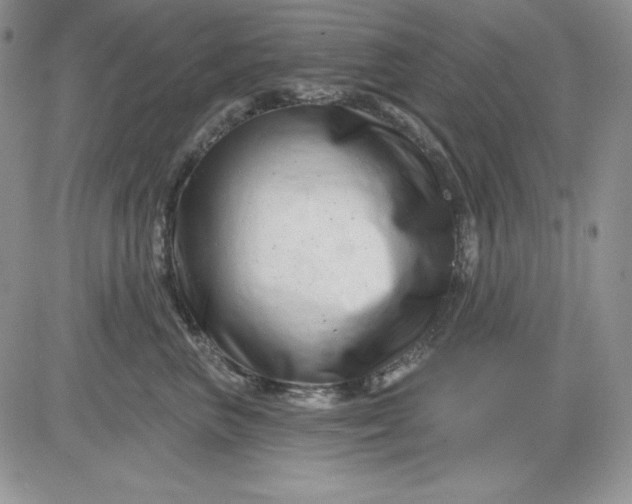 X0000081420667200701261555