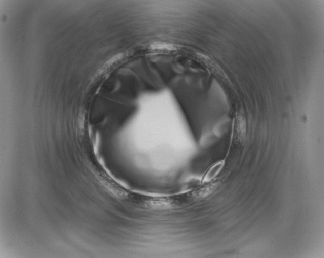 X0000081420668200701261555