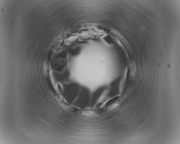 X0000081420669200701261555